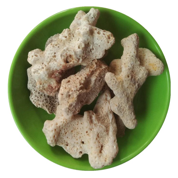 鱼缸过滤底沙用珊瑚砂石 珊瑚骨 珊瑚颗粒
